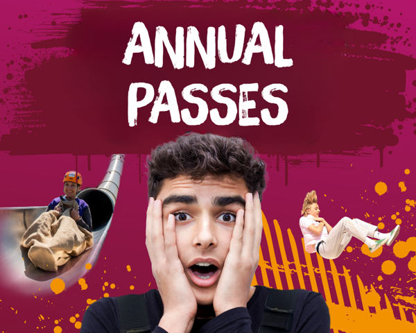 Annual Pass Sale Movement (1)