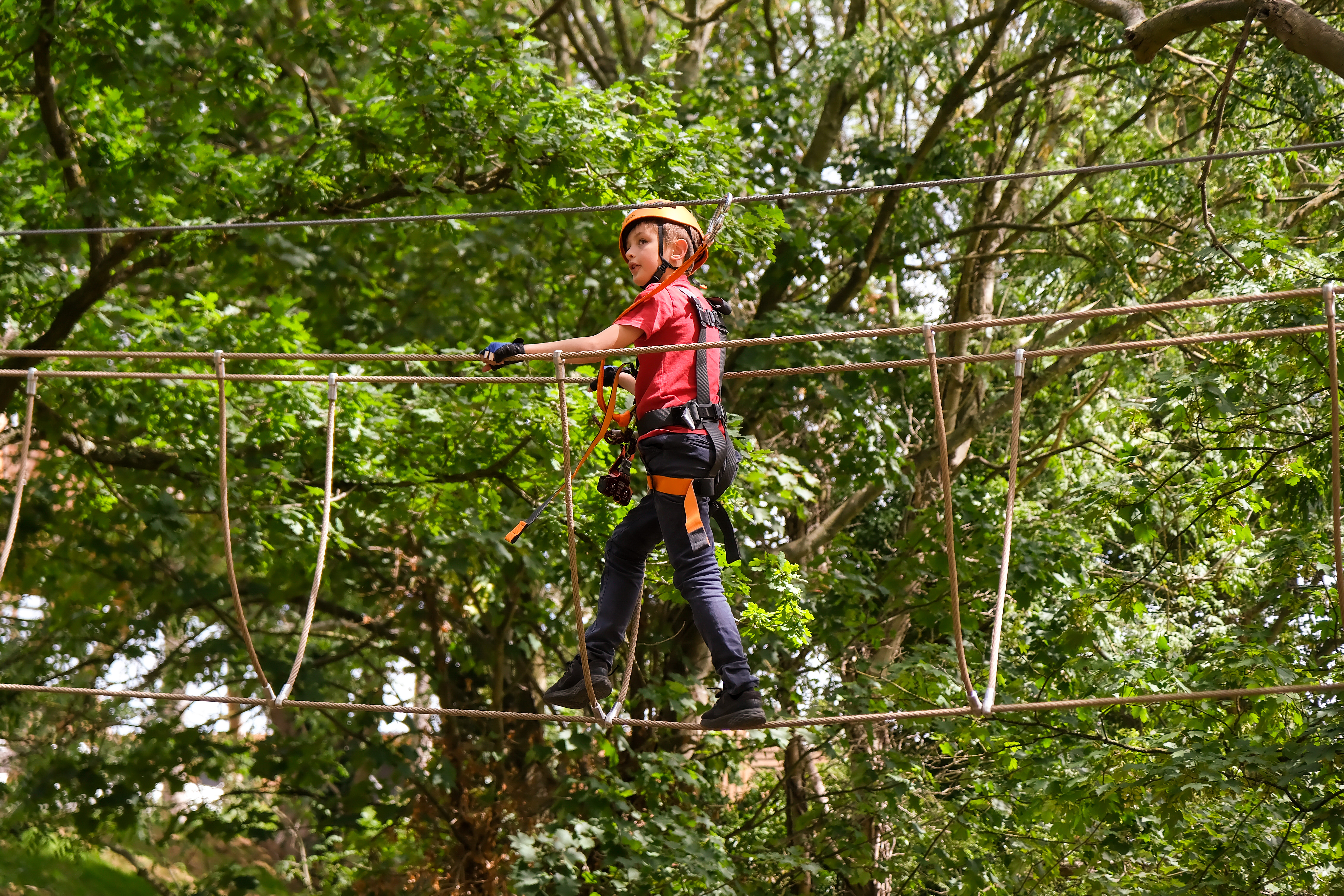 Hig Ropes Crossing