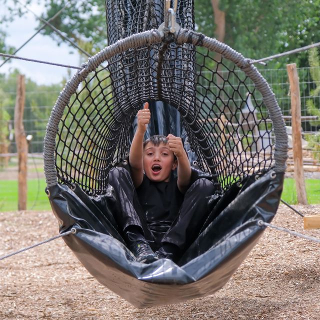 Net Slide Boy