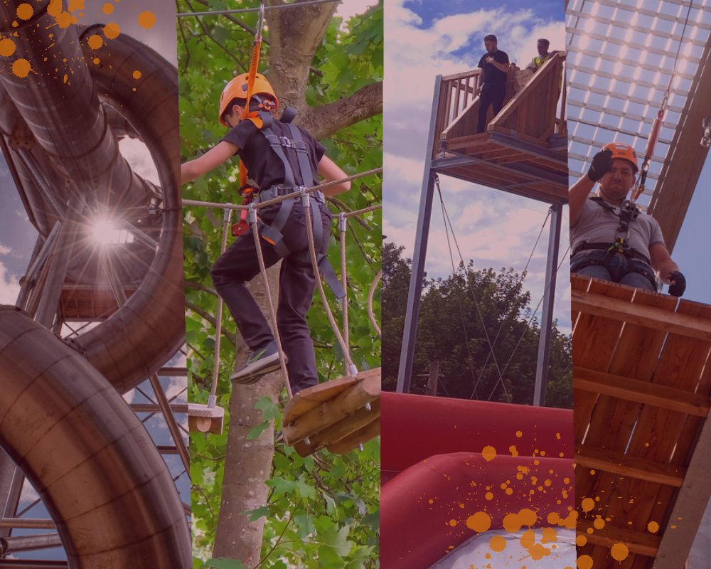 Copy Of Copy Of 3 Hour