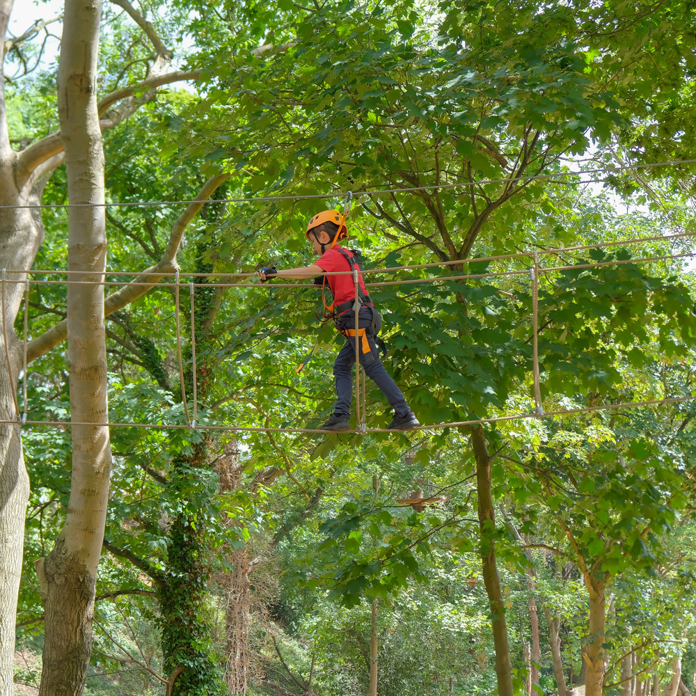 High Ropes Wide