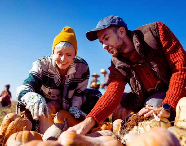 Pumpkin Heath Socials